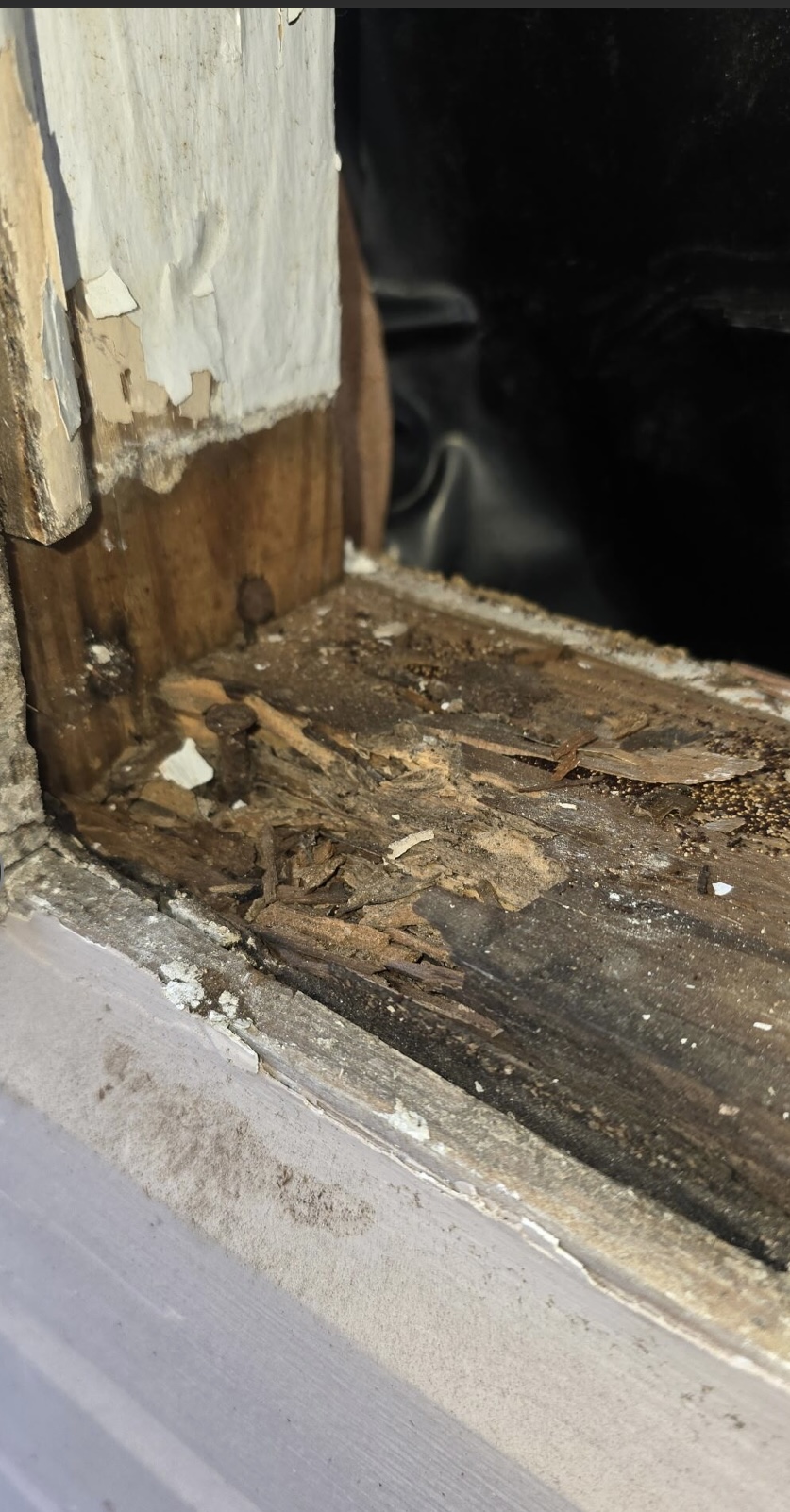 Close-up of a rotted wood window sill and framing exposed during demolition